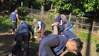 Pulihkan Lahan Terdegradasi, Mahasiswa KKN Unand Periode II Terapkan Budidaya Cabai Rawit dan Optimalisasi pH Tanah di Nagari Pematang Panjang, Kabupaten Sijunjung